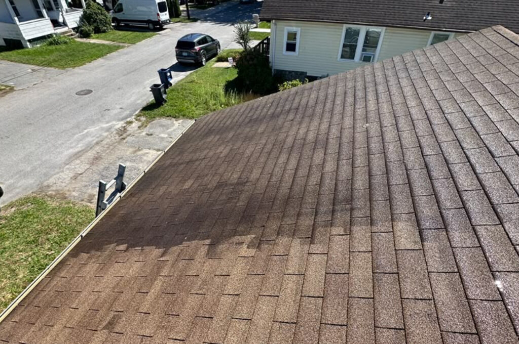home-improvement-art-painters-power-washing-03